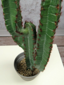 sztuczny kaktus karnegia sztuczne rośliny jakość
