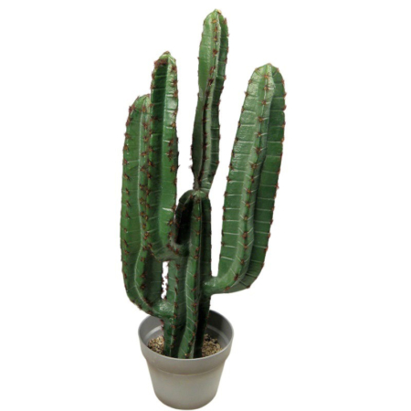 kaktus sztuczne rośliny wysoka jakość