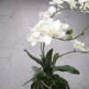 sztuczny storczyk wiszący wanda biały 60 cm