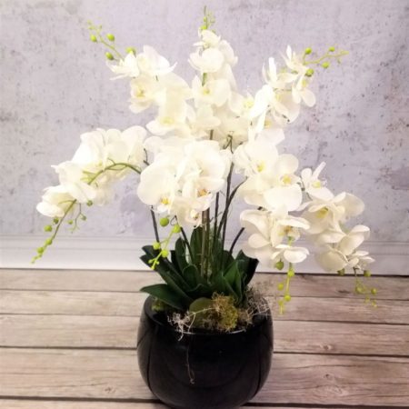 biała orchidea storczyk sztuczny