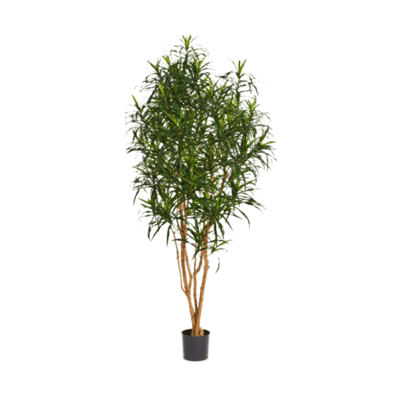 Dracena Anita, sztuczne rośliny, Drzewko