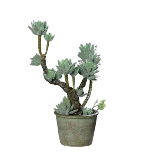 sztuczne kaktusy eszeweria