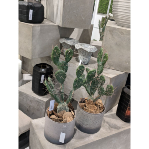Kaktus 3 Gałązki 58 cm 03