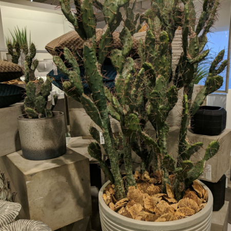 Kaktus 3 Gałązki 58 cm 02