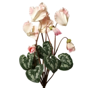 blady-róż cyklamen gałązka wiele kwiatów 40 cm