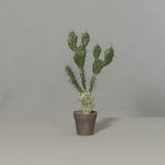 Kaktus 3 Gałązki 58 cm