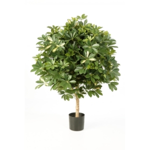 Drzewko Kula z Szeflery 110 cm - Produkt Premium p1