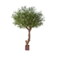 Sztuczne Drzewo Oliwne Polly 270 cm