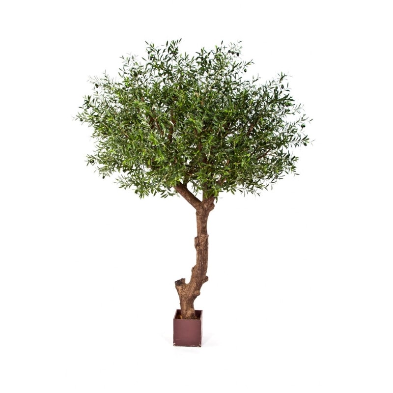 Sztuczne Drzewo Oliwne Polly 270 cm