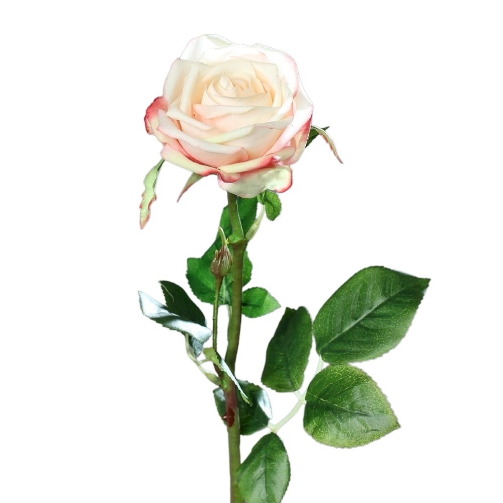 Róża 66 cm - Naturalna w Dotyku