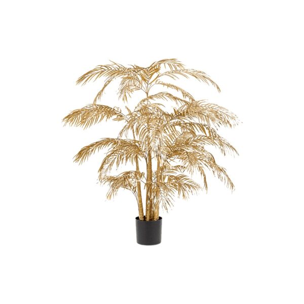 złota palma areka 200 cm