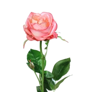 róża 66 cm naturalna w dotyku różowa