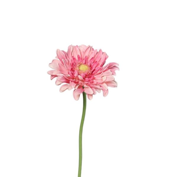 sztuczna gerbera 47 cm różowa
