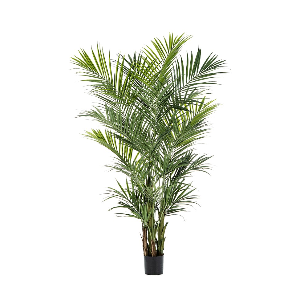 sztuczna palma kentia 260 cm