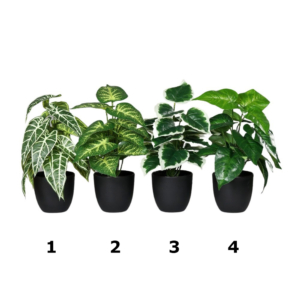 mix roślin 3mix roślin 30 cm