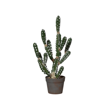 Kaktus w doniczce 63 cm