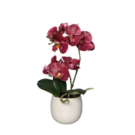sztuczna orchidea w doniczce 22 cm bordowa