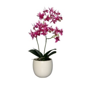 sztuczna orchidea w doniczce różowa 36 cm