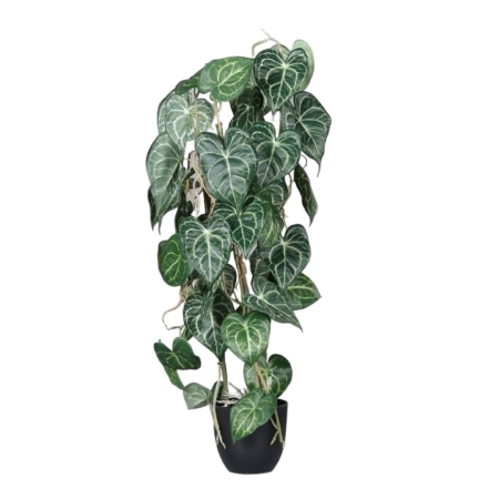 sztuczne anturium clarinervium 80 cm