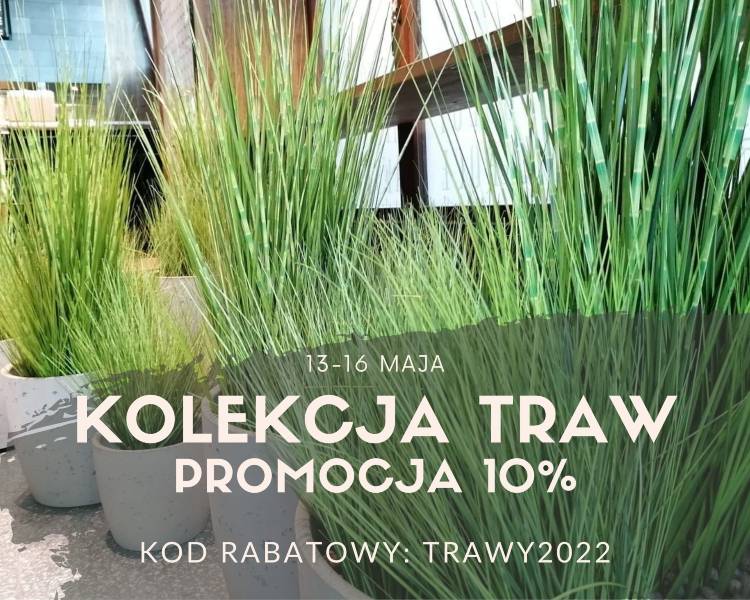 promo 2022 may grass in pots