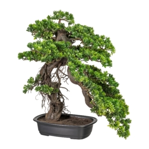 Sztuczny Bonsai Podocarpus 65 cm