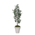 Drzewko Eukaliptus - Produkt Premium 120 cm