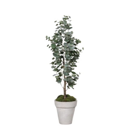 Drzewko Eukaliptus – Produkt Premium 120 cm