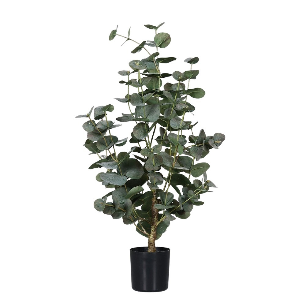 Drzewko Eukaliptus - Produkt Premium 70 cm