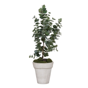 Drzewko Eukaliptus - Produkt Premium 90 cm