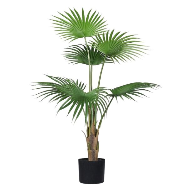 Palma Livistona 105 cm
