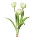 bukiet tulipanów naturalne w dotyku białe