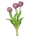 bukiet tulipanów naturalne w dotyku fioletowe