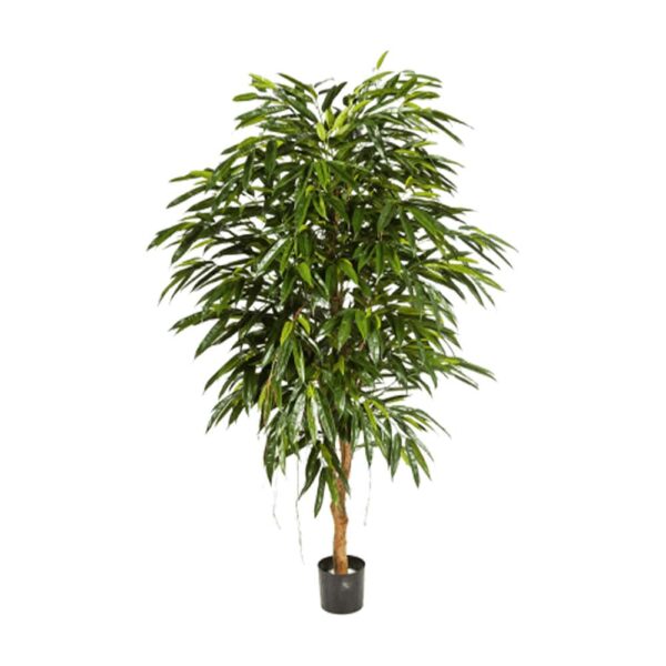 sztuczna Longifolia Royal z gęstą koroną