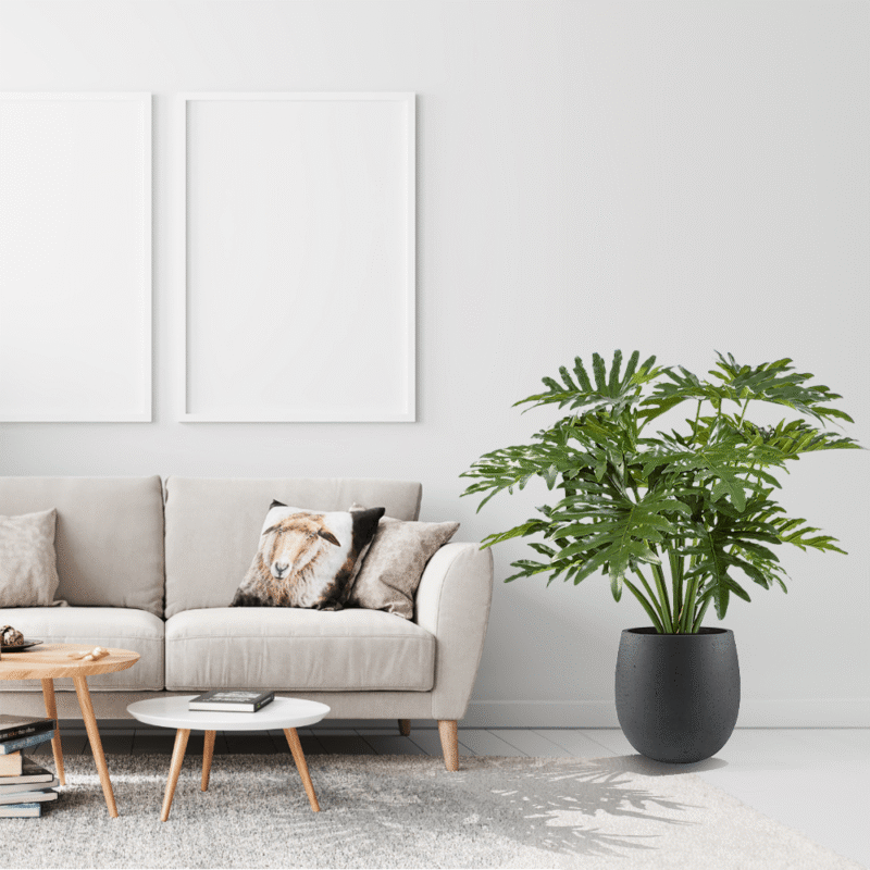 Sztuczny Filodendron 90 Cm aranżacja wnętrza, duże liście, roślina tropikalna