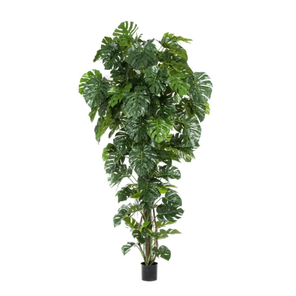 Sztuczny Filodendron - Monstra 280 cm, roślina tropikalna, duże liście