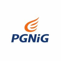 pgnig logo